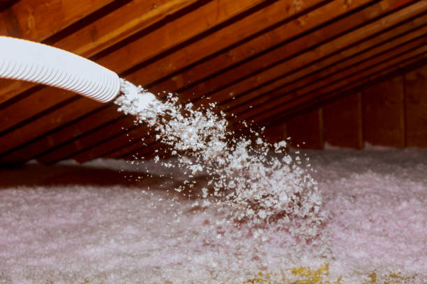 Best Best Insulation Companies  in Santee, CA