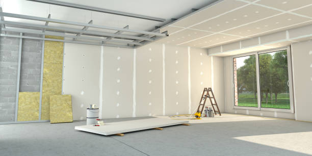 Best Insulation Removal  in Santee, CA