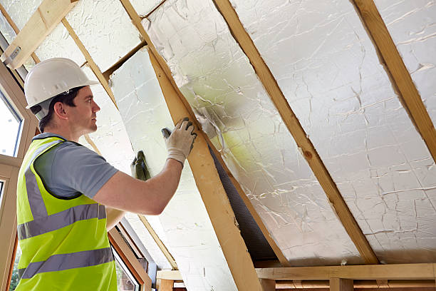 Best Insulation Repair Services  in Santee, CA