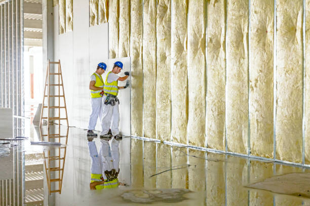 Best Garage Insulation Installation  in Santee, CA